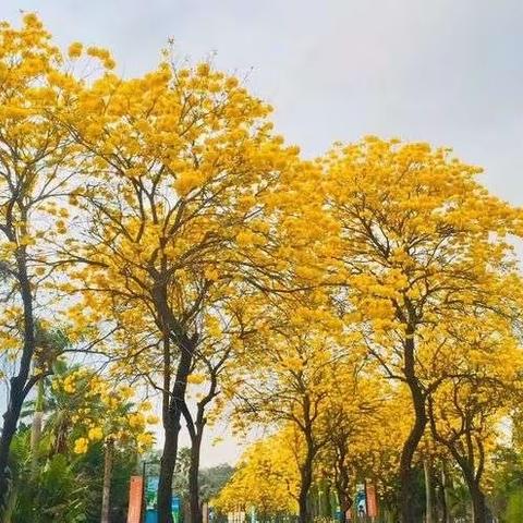 心有所信，方能行远，学有所悟，而后笃行。——参加市骨干教师课后作业与命题能力培训有感