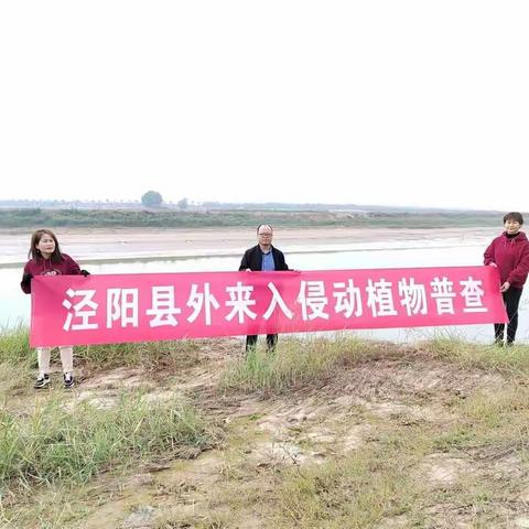 泾阳县畜牧中心开展外来入侵水生动植物普查工作