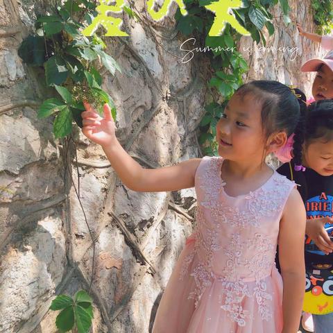 矿大附属幼儿园大二班——《夏·景》