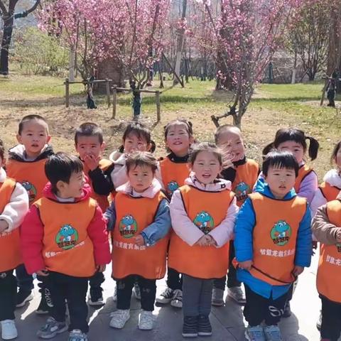 芽芽三班生活课程之 ——感受生命的奇迹