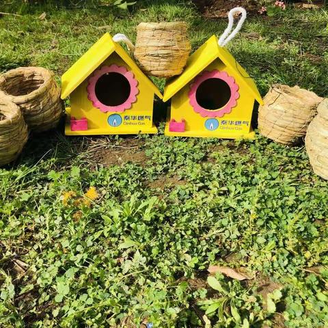 有你、有我、有爱--志愿者与鸟儿