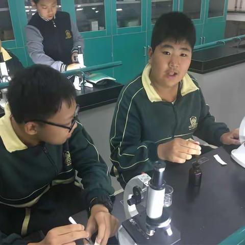 随风潜入夜，润物细无声——学校教育的真谛