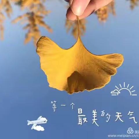 ☆寻找秋天的美～大三班