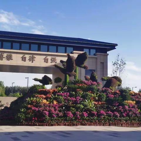 校园生活剪影