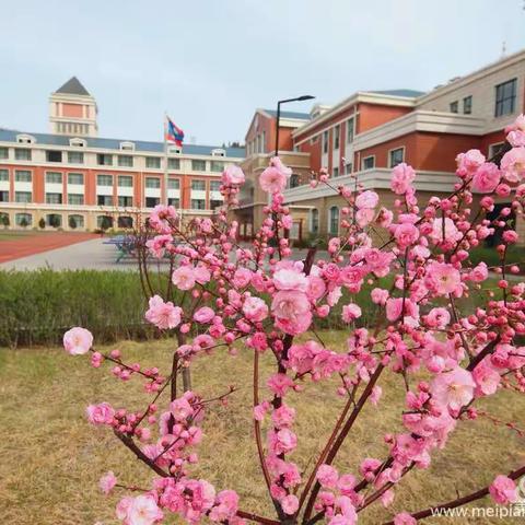 柳林镇庙湾小学“从小学党史，永远跟党走”主题班会活动