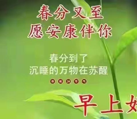 我在等你，也在等春天