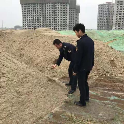每日工作动态