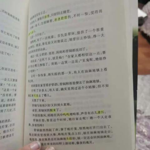 扬扬阅读之青铜葵花2020.8.10