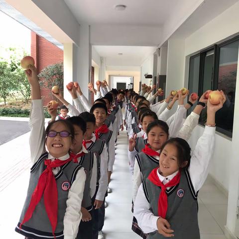 小餐桌大文明——记六5班最美餐桌评比活动