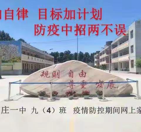 茉莉的美篇