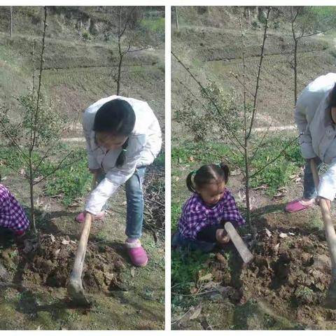 我植一片绿，家乡更美丽――涢阳小学明德班开展植树节生态教育实践活动