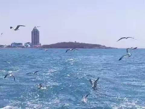 面朝大海，春暖花开