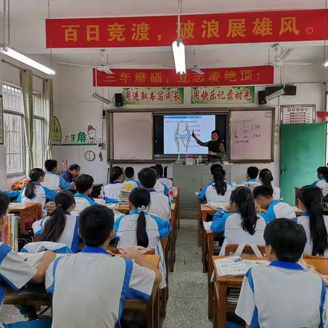 立足课堂教学  提高教学效率