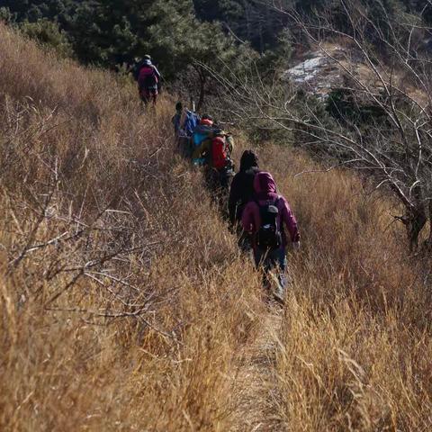 大年初一登山