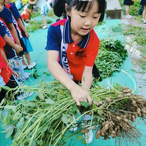 - 忆昔日追今，未来可期-                【大一班】毕业了……