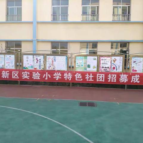 青西新区实验小学特色社团招募啦！！！