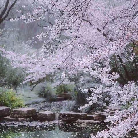 点滴积累、留住回忆、收获精彩——合作一小三（1）班第六周线上学习活动剪影