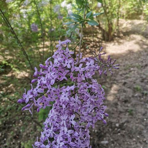 收集美好，记录点滴