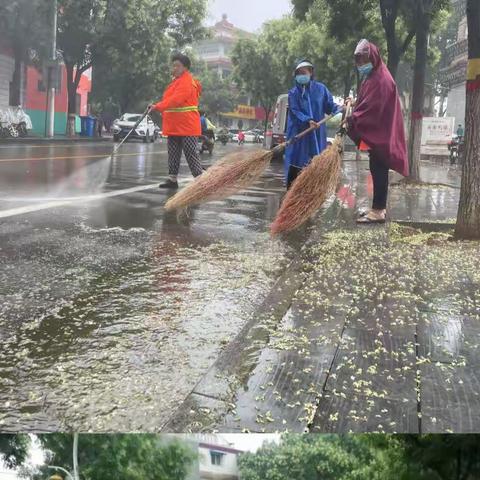 【中兴综合管理中心】扫净槐花“雪”“暑”你最辛苦