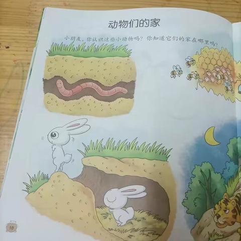 海城长虹幼儿园中二班第十一周内的美篇