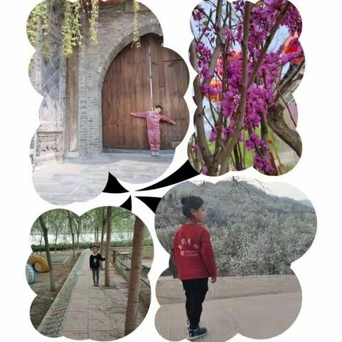 良庄镇中心幼儿园大二班清明节主题活动