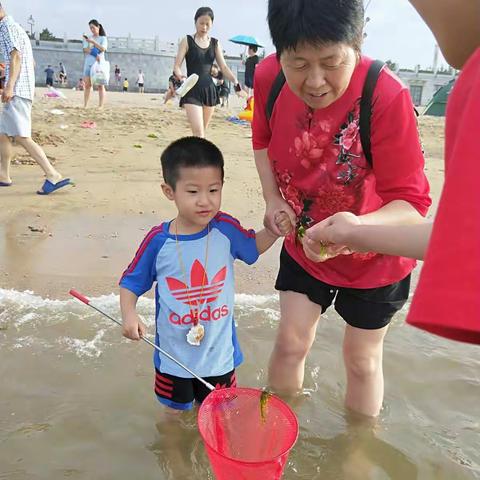 蓬莱海边之旅