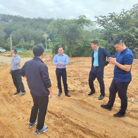 黄育坚副市长现场督导生态环境保护督察交办件