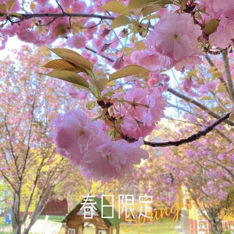 华龙区油田金萌幼儿园