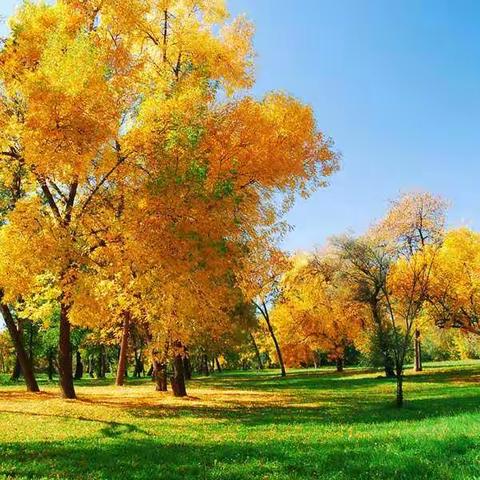 【童心共战"疫"，居家亦精彩】------华龙区油田金萌幼儿园中班组线上教学活动