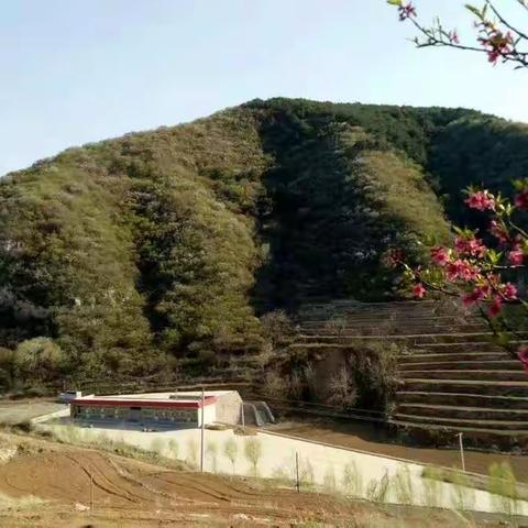 线上教学，携手共赢