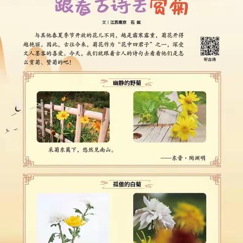 荥阳市第三幼儿园亲子游戏优秀案例展播 大班《跟着古诗去赏菊》