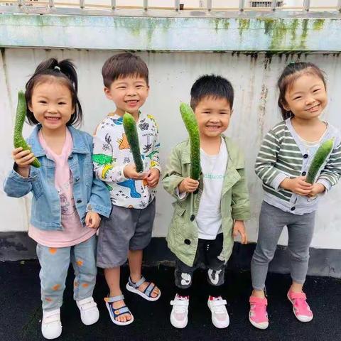 赣州育苗白云幼儿学校小一班——我与植物🌱