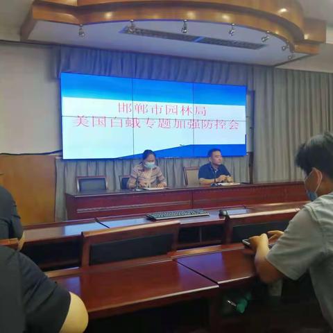 [园林局植保处]植保处紧急召开美国白蛾防控加强专题会议