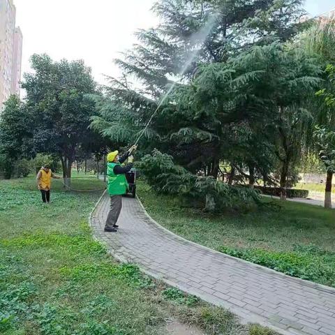 ［园林局植保处］植保日常养护工作周报（10月8日—10月17日）