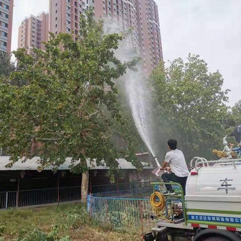 [园林局植保处]植保日常养护工作周报(9月13日—9月19日)