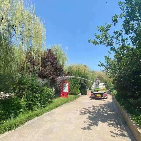 [园林局植保处]植保日常养护工作周报(9月6日—9月12日)