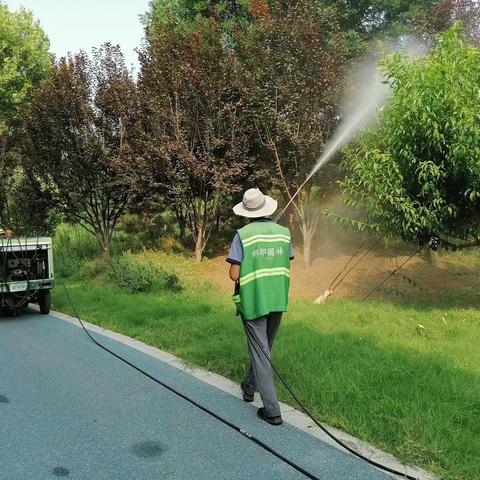 [园林局植保处]植保日常养护工作周报(8月14日—8月20日)