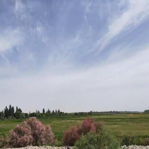 甘肃省水利水电工程局有限责任公司皮山河流域山区四乡农村饮水安全巩固提升工程。