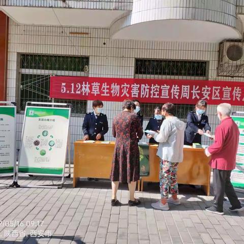 长安区林业站积极开展“5.12林草生物灾害防控宣传周”宣传活动