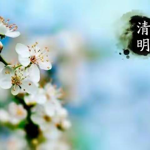 主题晨会——又是一年清明时（小河镇中心幼儿园苗苗4班）