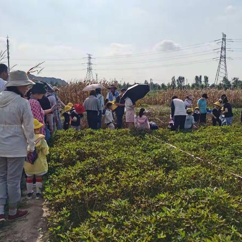 大手拉小手，一起去秋游——钟声Ring a Bell 小班秋游篇