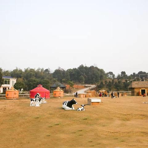 草原牧歌——优卓牧业拍摄体验