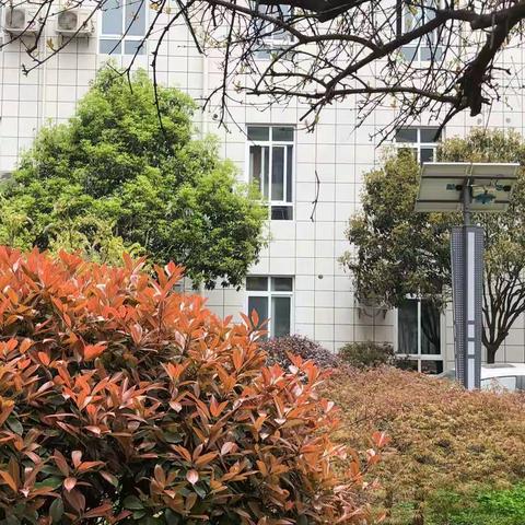 点亮星光，愈你同行——肿瘤防治宣传周，镇安县医院胸外科在行动！