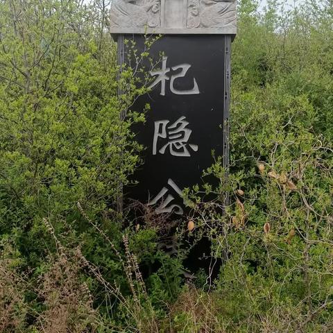 “爬王坟”传奇