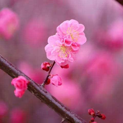 2019.03.31   娃们开心的一天～