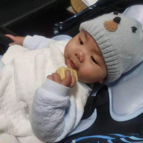 观察日记（四则）