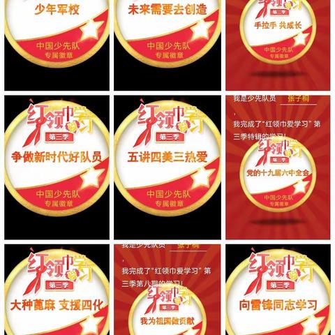 桐宝的美篇