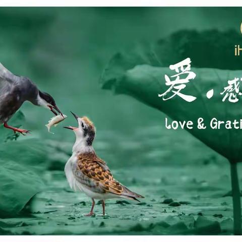 艺典老师用天眼看到的