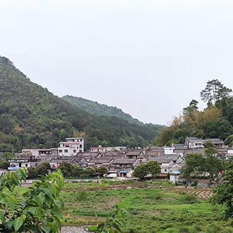 再游杨池古村