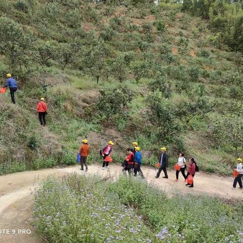 翻山越岭，走马观花